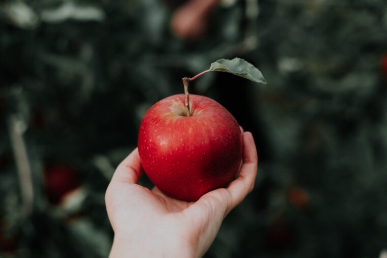 uma maça por dia fruta saúde